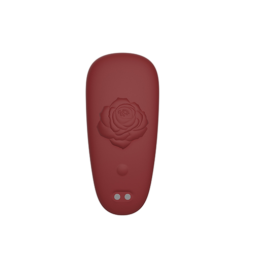 Controle de aplicativo Rose Panty Vibe disponível